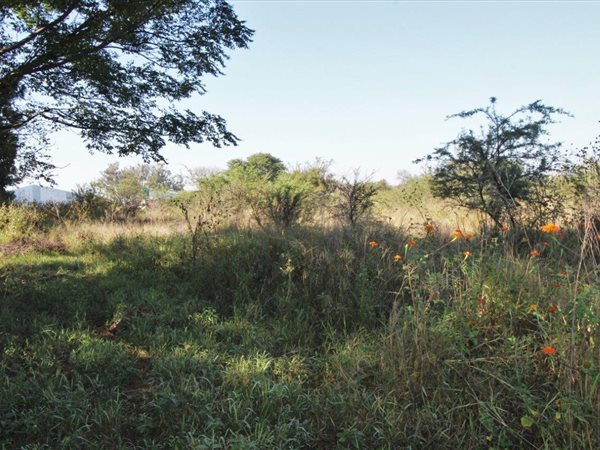 8452 m² Land available in Modimolle
