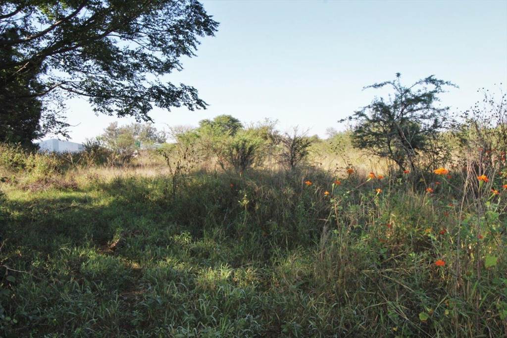8452 m² Land available in Modimolle photo number 1