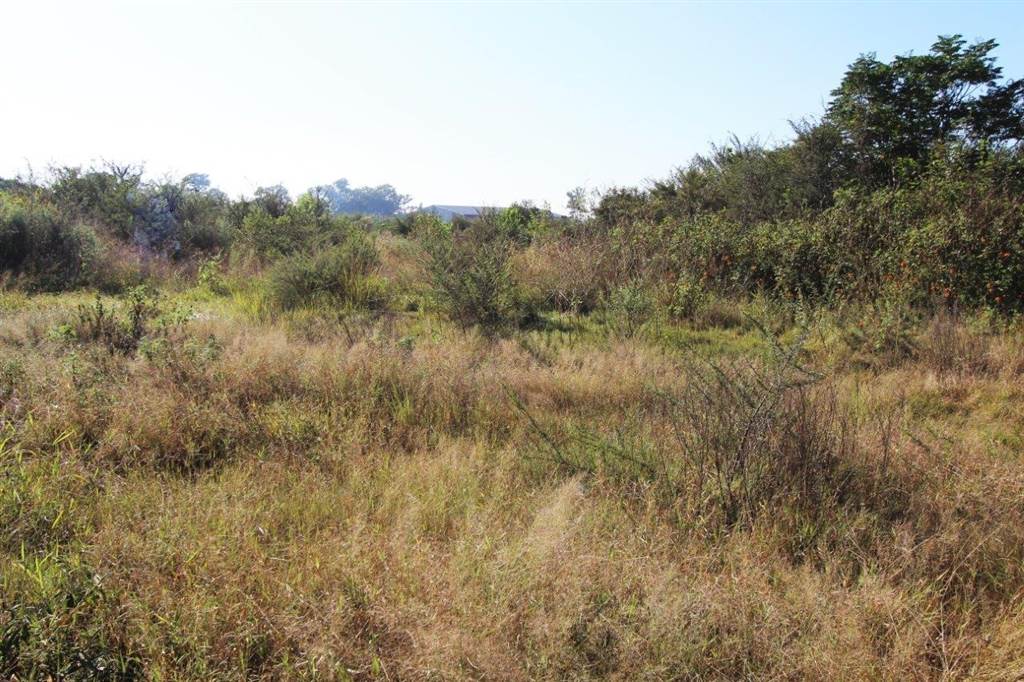 8452 m² Land available in Modimolle photo number 7