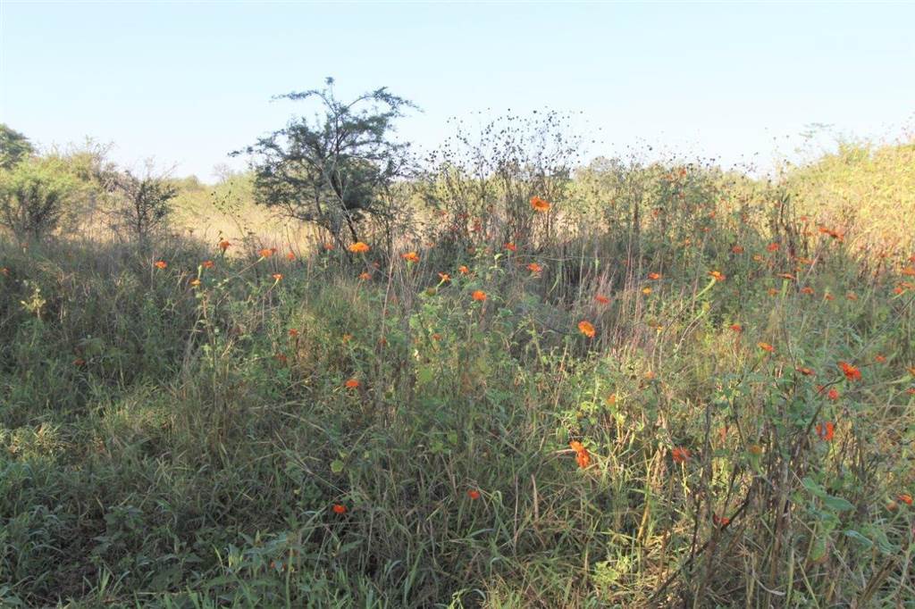 8452 m² Land available in Modimolle photo number 3