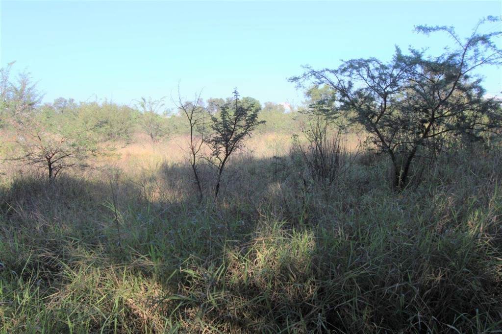 8452 m² Land available in Modimolle photo number 4