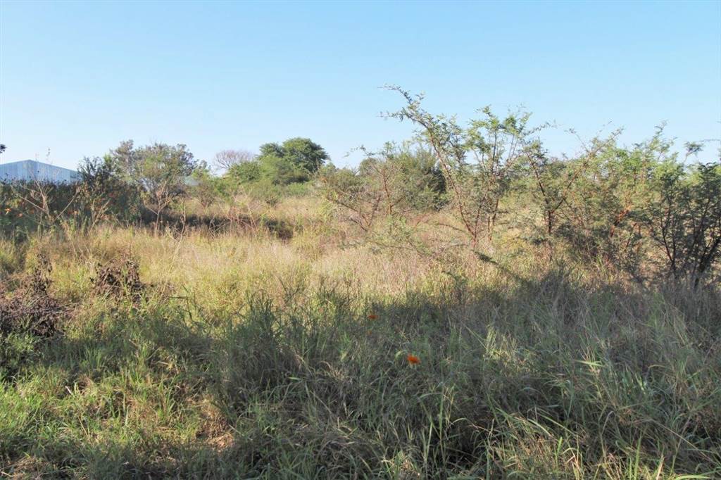 8452 m² Land available in Modimolle photo number 5