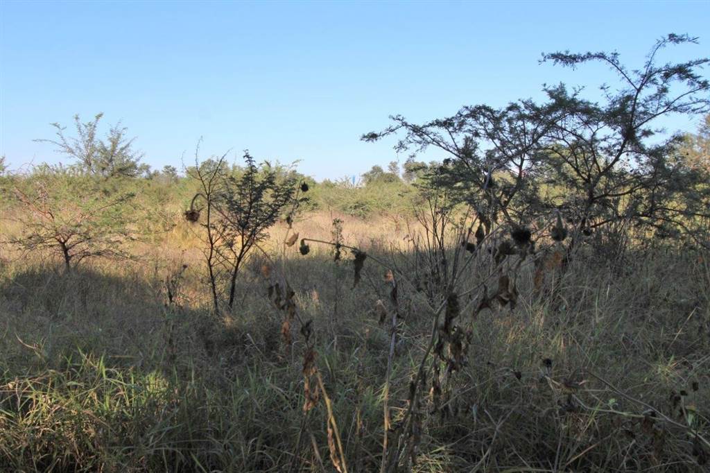 8452 m² Land available in Modimolle photo number 6