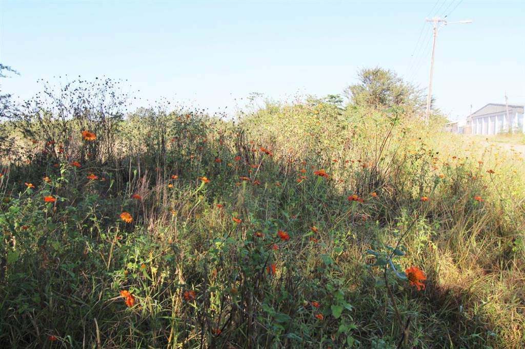 8452 m² Land available in Modimolle photo number 2