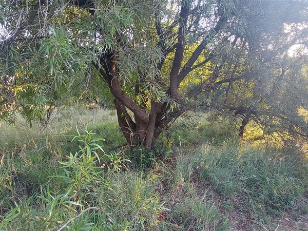 776 m² Land available in Leloko