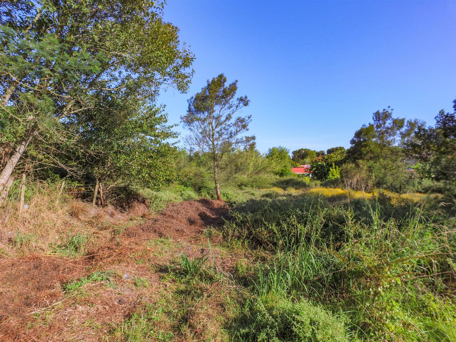 2865 m² Land available in Denneoord photo number 10
