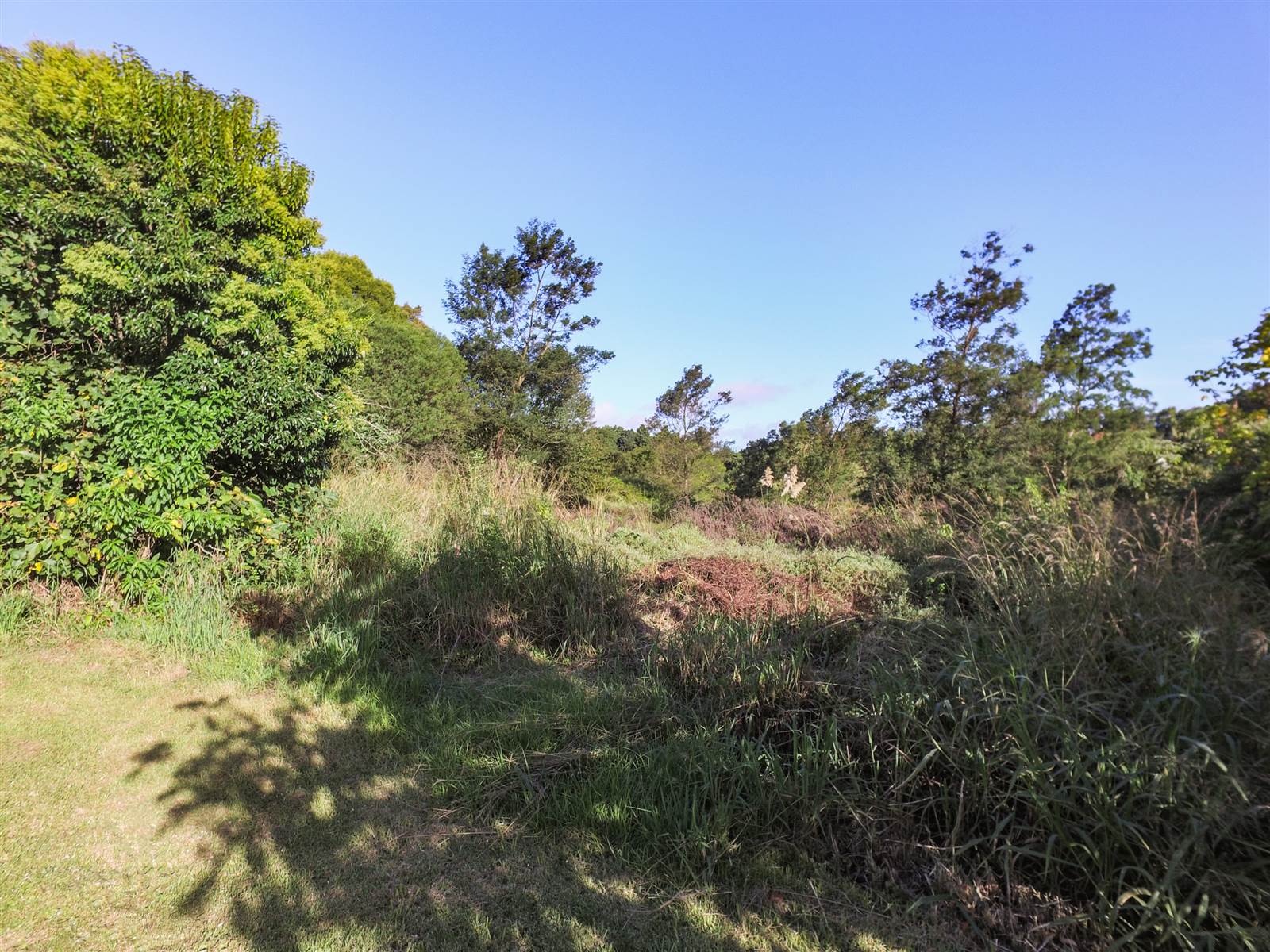 2865 m² Land available in Denneoord photo number 14