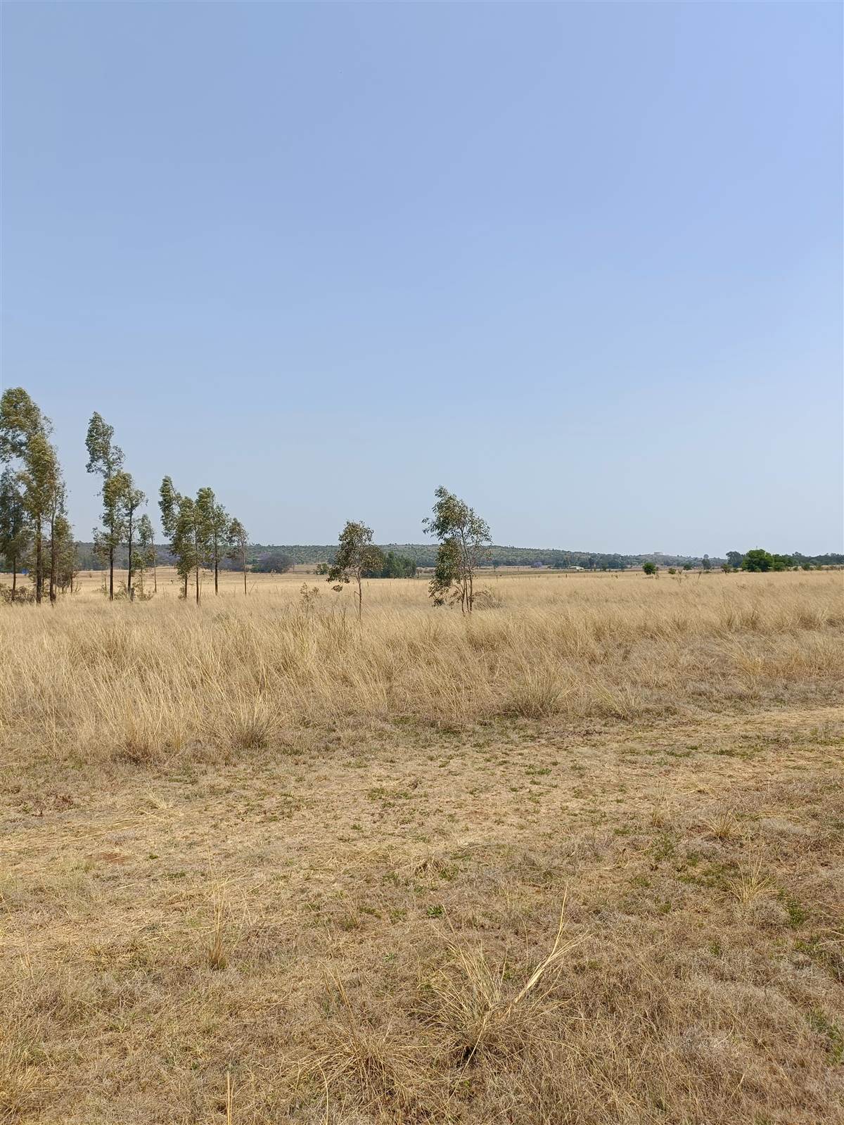 72 ha Farm in Cullinan and Surrounds photo number 12