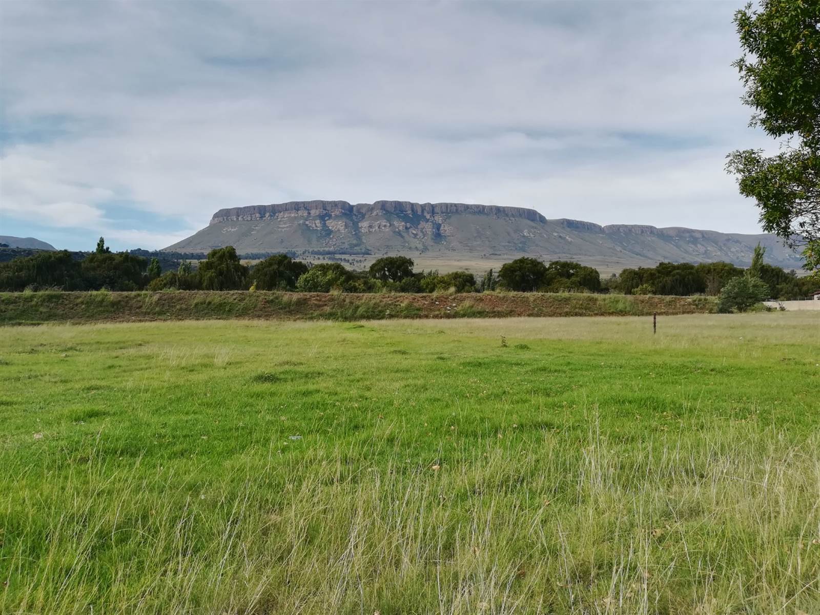 6481 m² Land available in Harrismith photo number 1