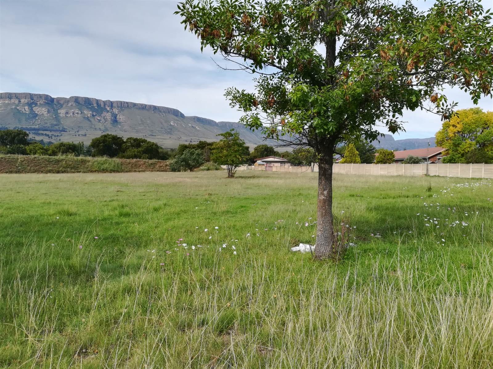 6481 m² Land available in Harrismith photo number 2