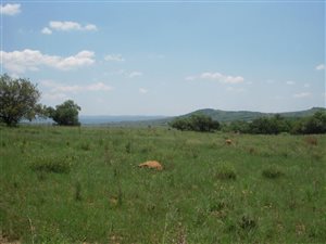 21.4 ha Land available in Doornrandje