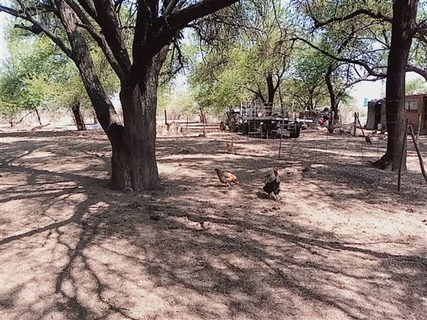 Farm