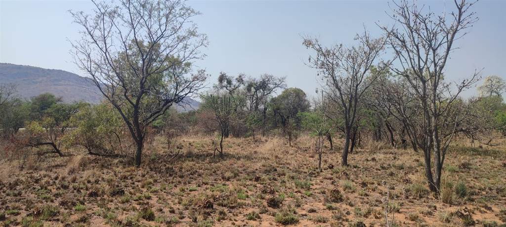 1.5 ha Land available in Rustenburg Central photo number 3