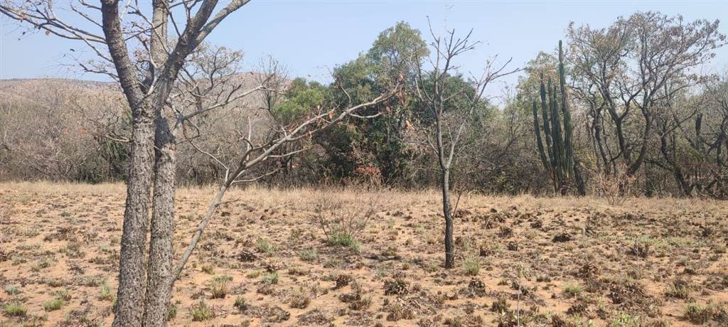 1.5 ha Land available in Rustenburg Central photo number 13