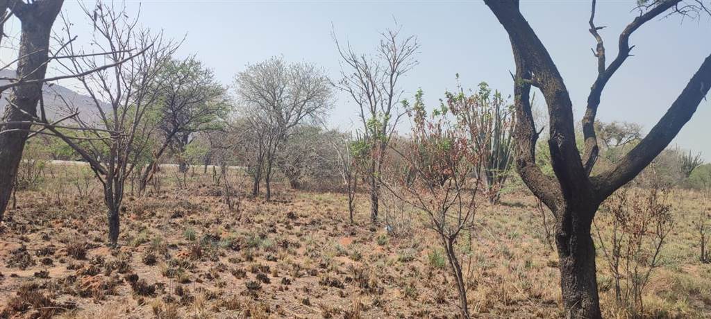 1.5 ha Land available in Rustenburg Central photo number 6