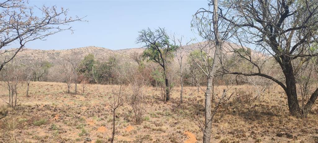 1.5 ha Land available in Rustenburg Central photo number 18
