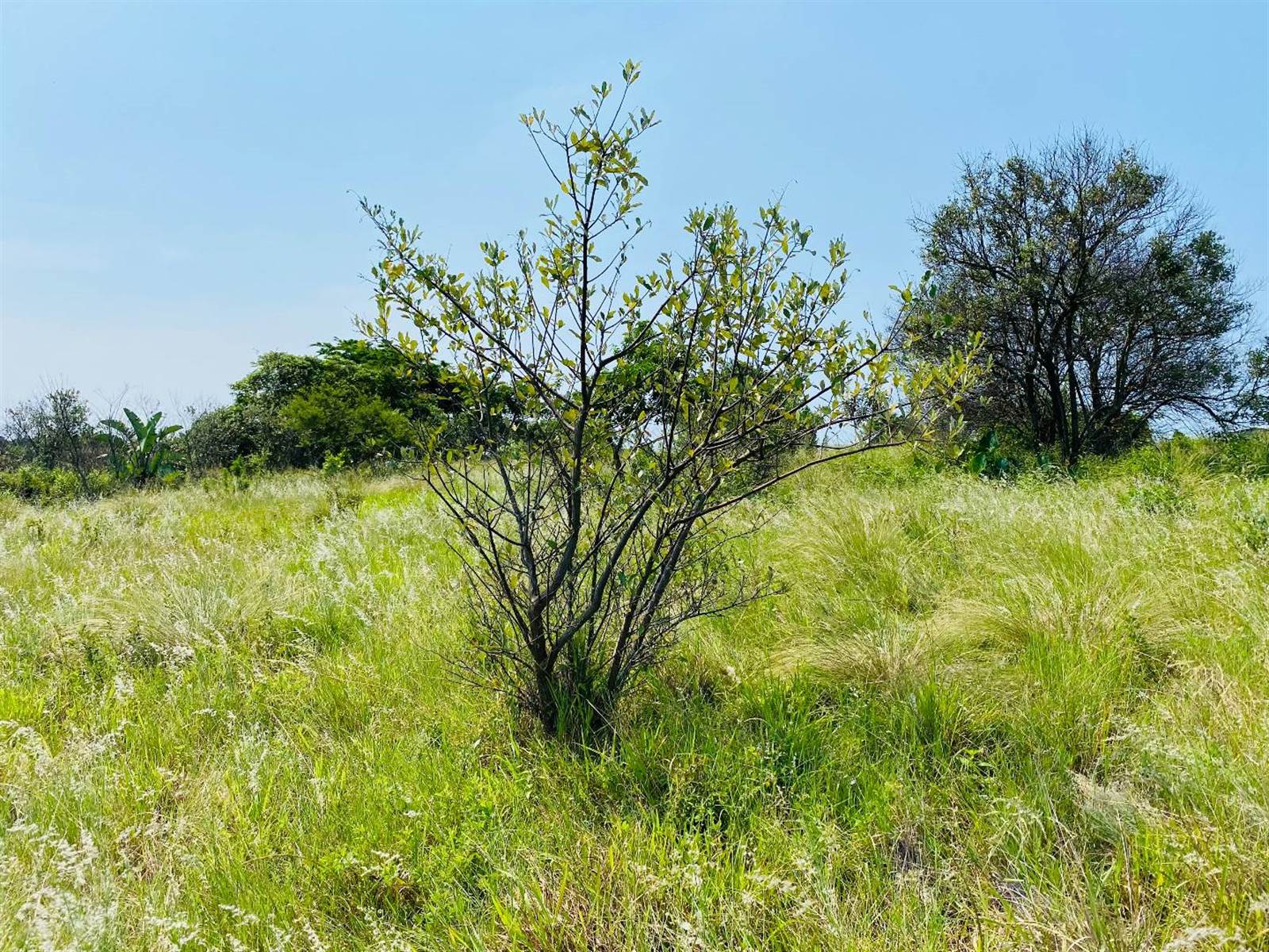 1575 m² Land available in Simbithi Estate photo number 12