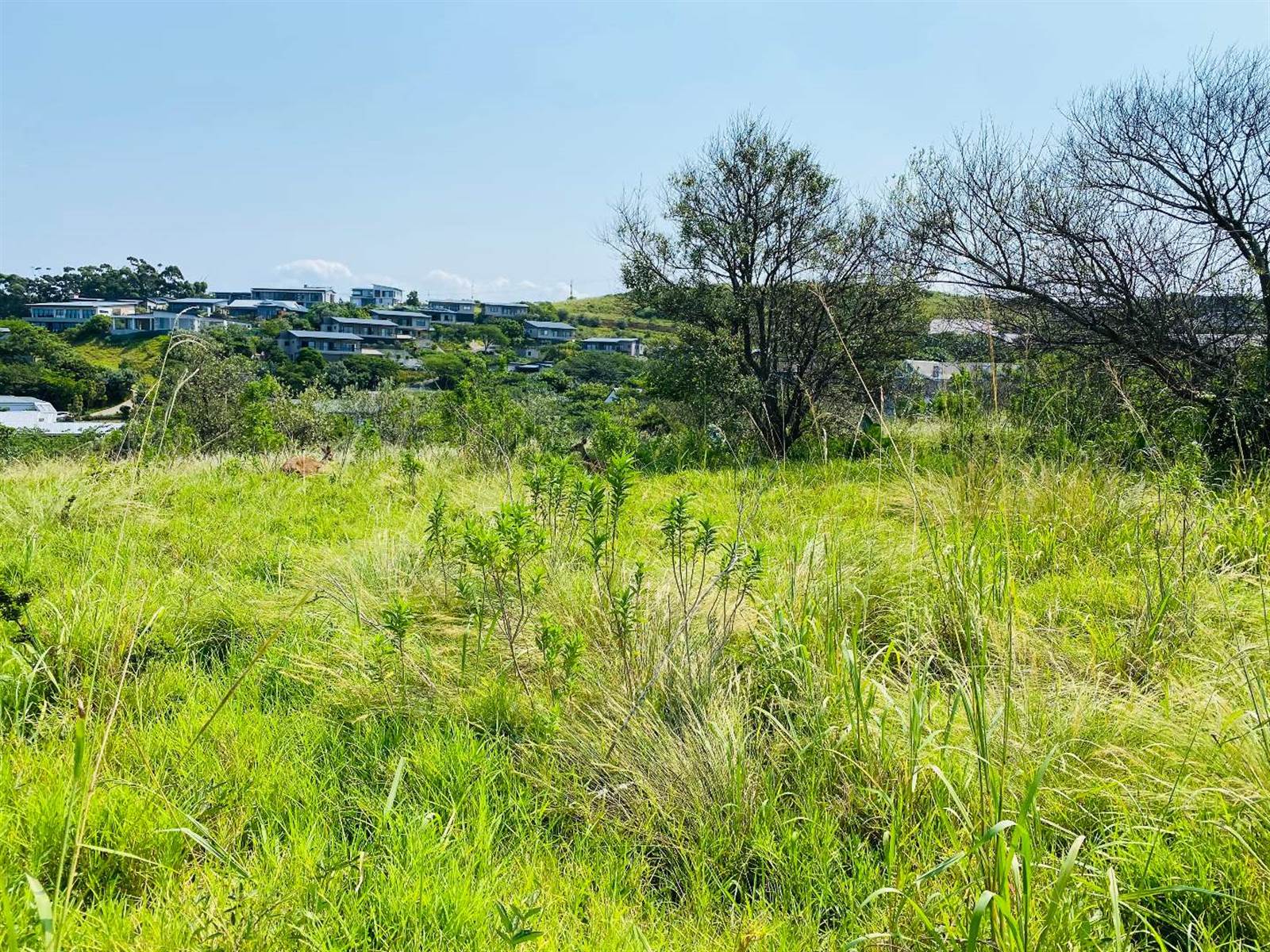 1575 m² Land available in Simbithi Estate photo number 8