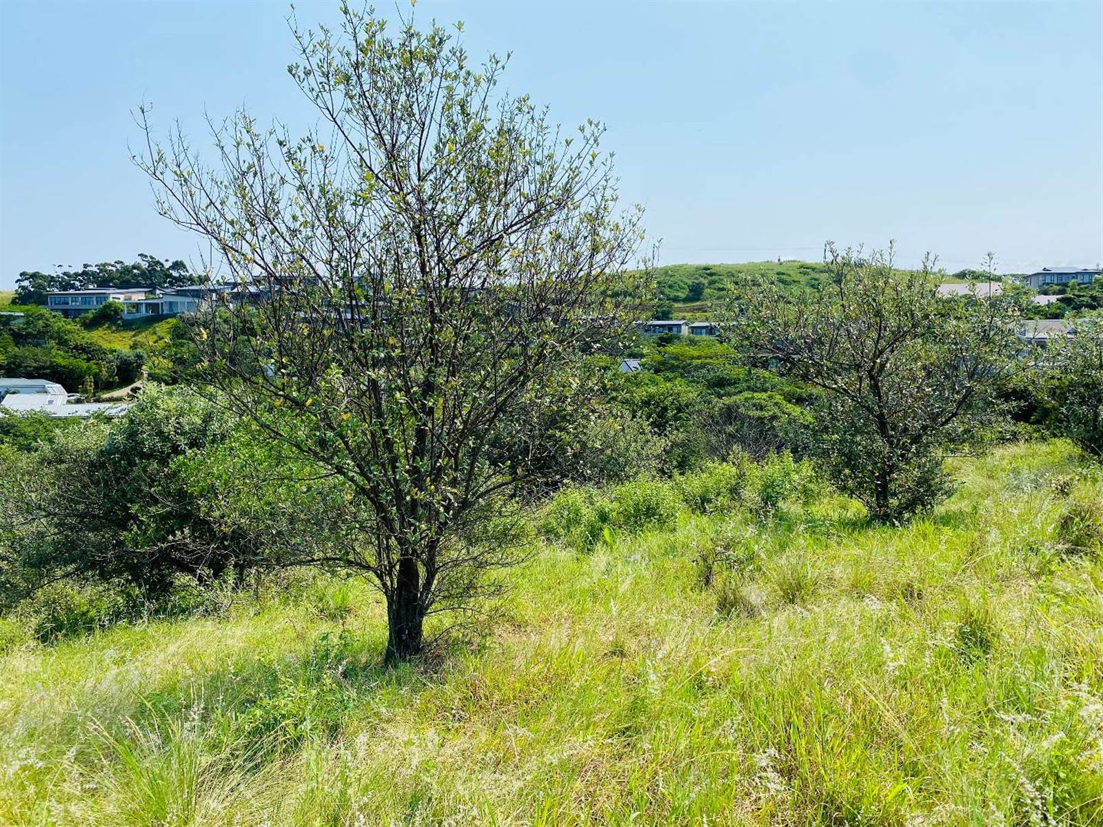 1575 m² Land available in Simbithi Estate photo number 14