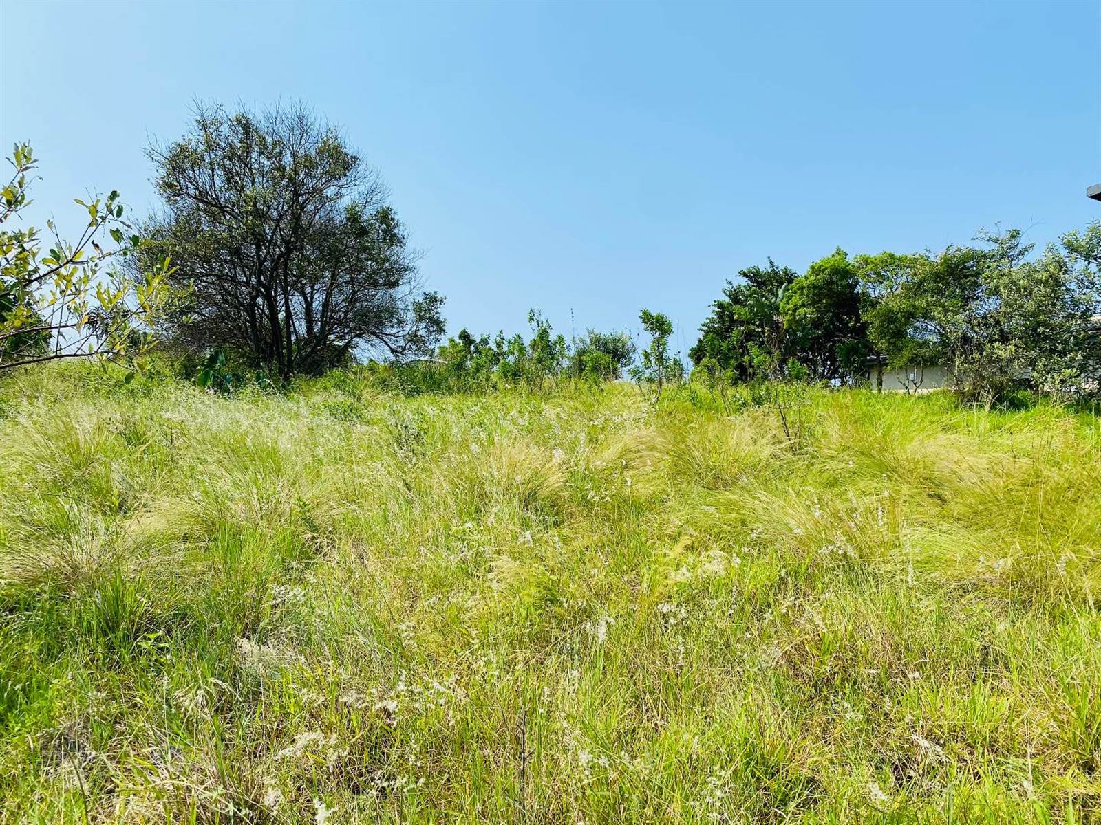 1575 m² Land available in Simbithi Estate photo number 11