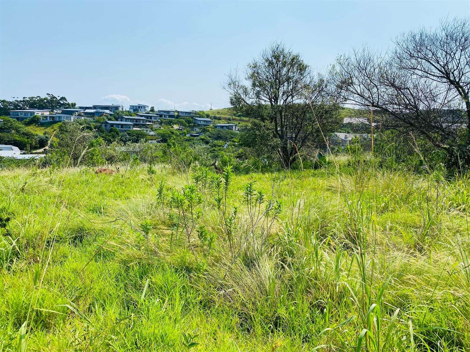 1575 m² Land available in Simbithi Estate photo number 7