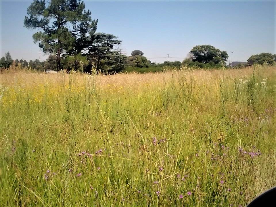 1.6 ha Land available in Kookrus photo number 3