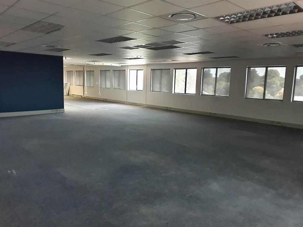 1566  m² Office Space in Hilton photo number 4