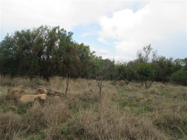 7808 m² Land available in Leeuwfontein
