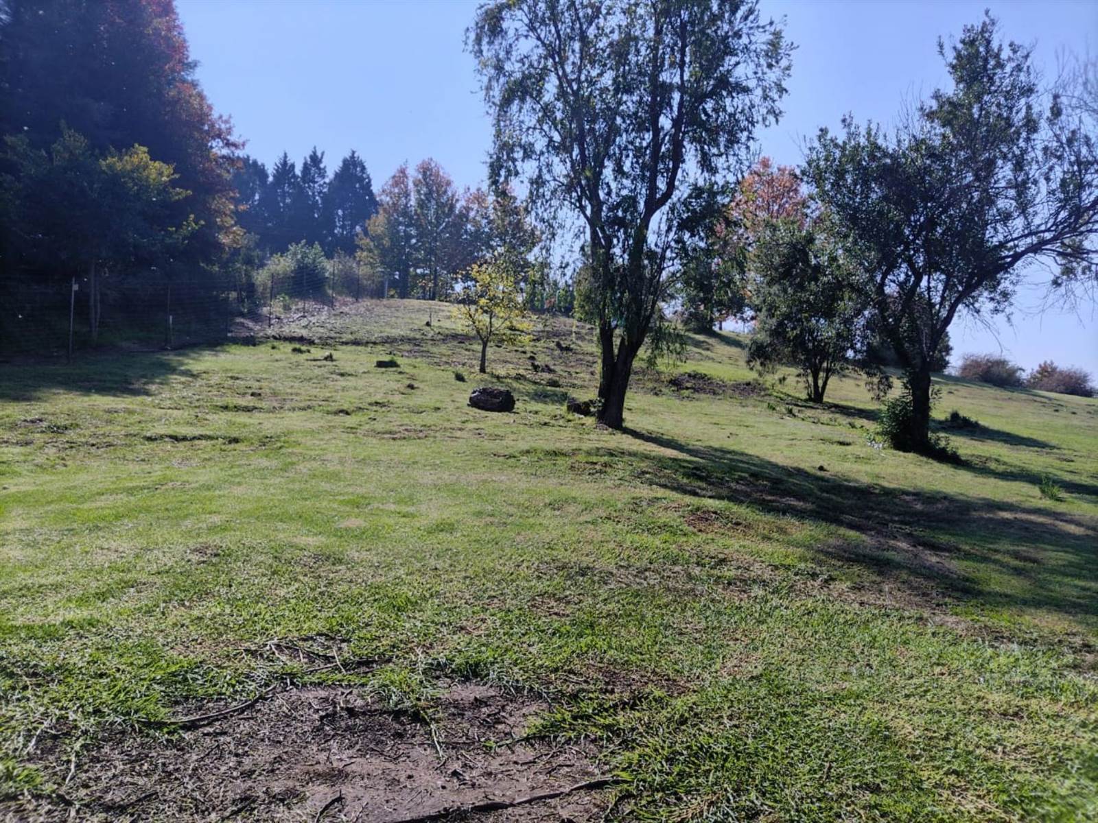 2357 m² Land available in Kamberg photo number 12
