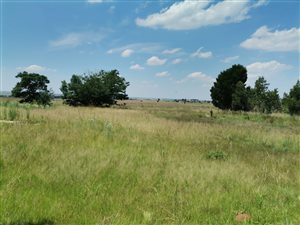 8.6 ha Land available in Evaton