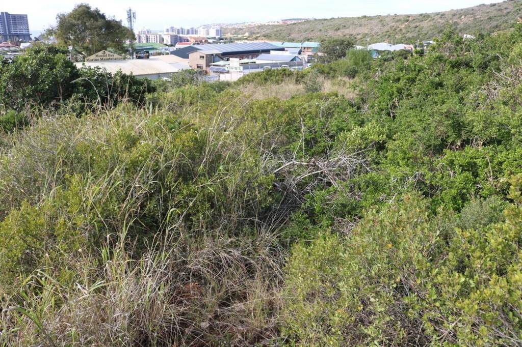 3968 m² Land available in Voorbaai photo number 4