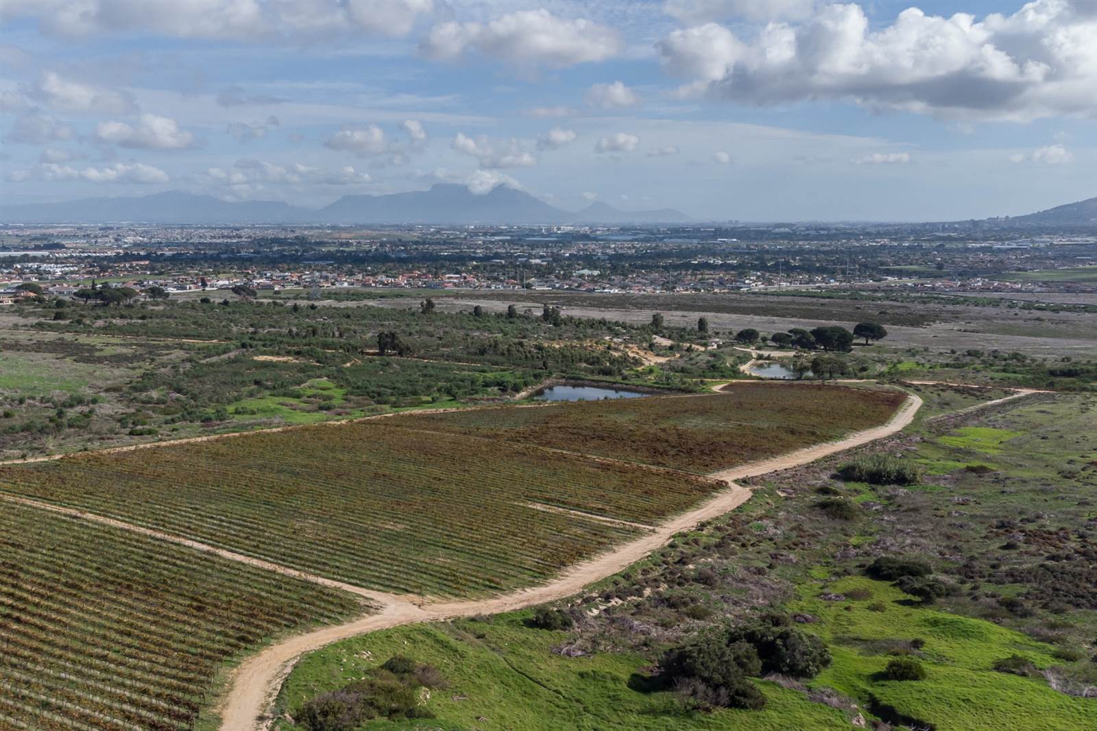 106 ha Farm in Stellenbosch Agricultural photo number 4