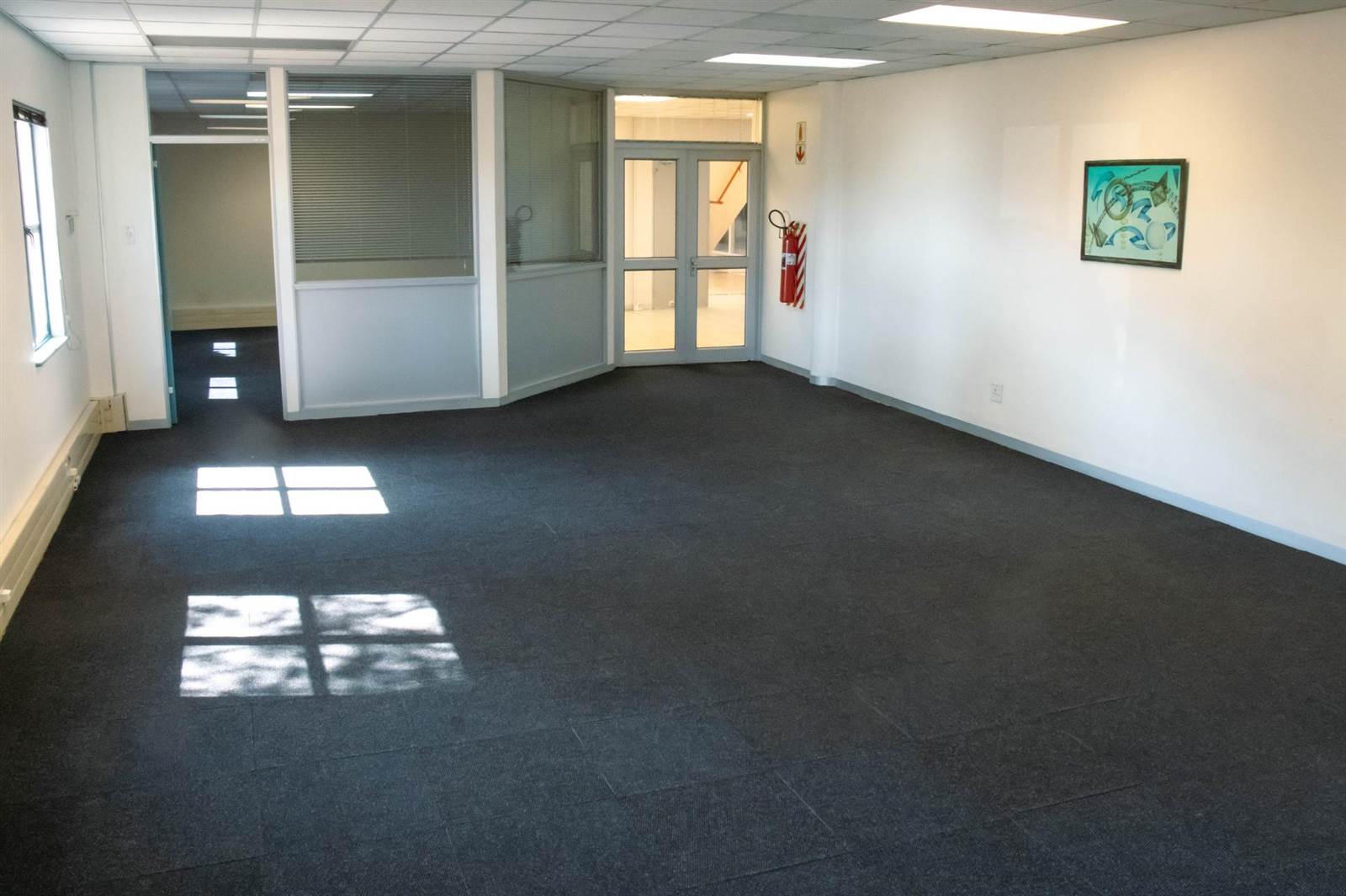 170  m² Office Space in Willowton photo number 11