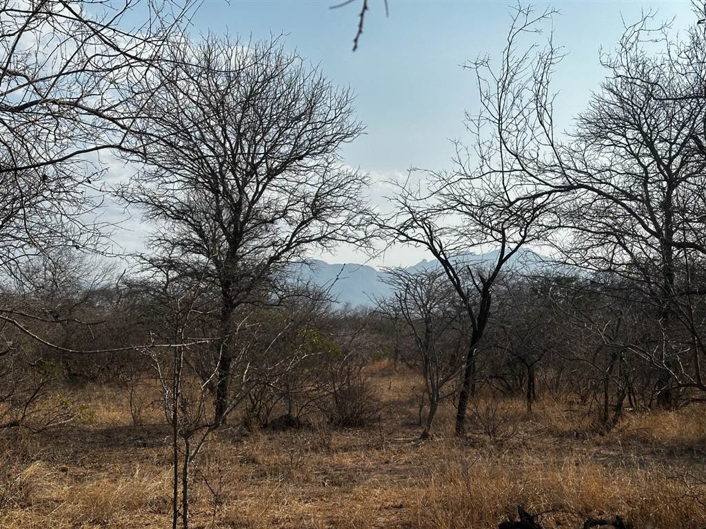 1.3 ha Land for sale in Moditlo Nature Reserve T4804006 Private