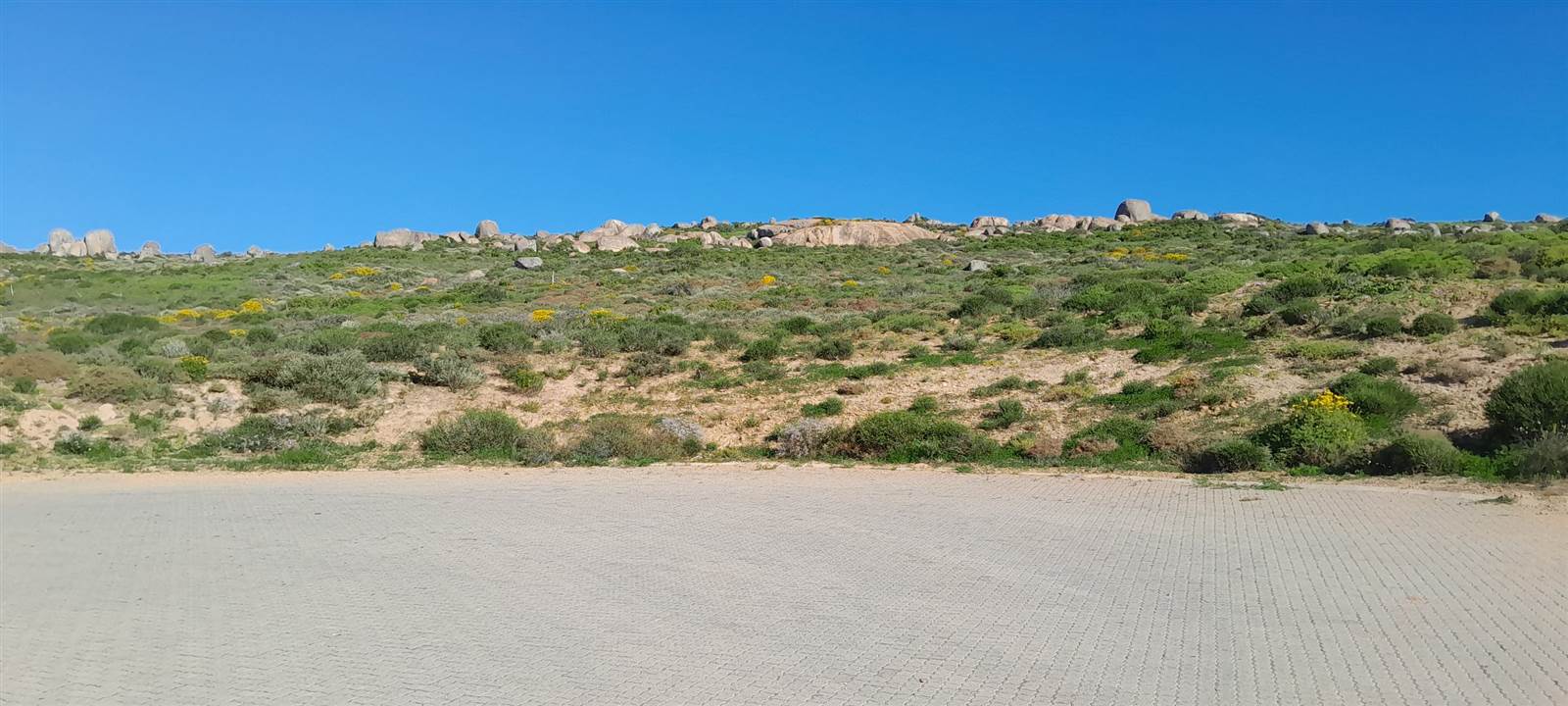 742 m² Land available in Britannica Heights photo number 11