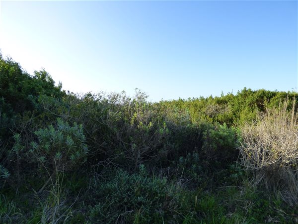 750 m² Land available in Port Alfred