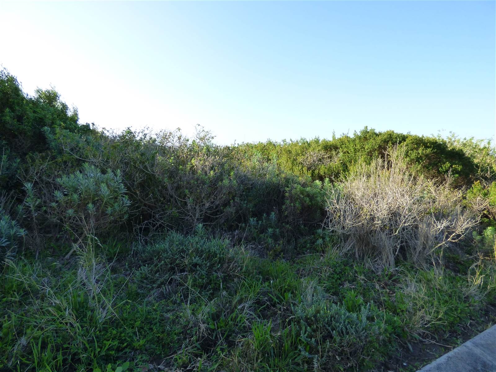 750 m² Land available in Port Alfred photo number 8