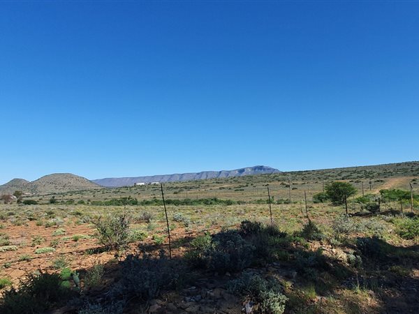 1 ha Land available in Willowmore