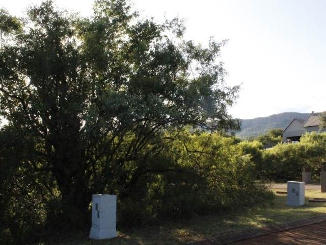 911 m² Land available in Leloko photo number 15