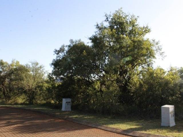 911 m² Land available in Leloko photo number 16