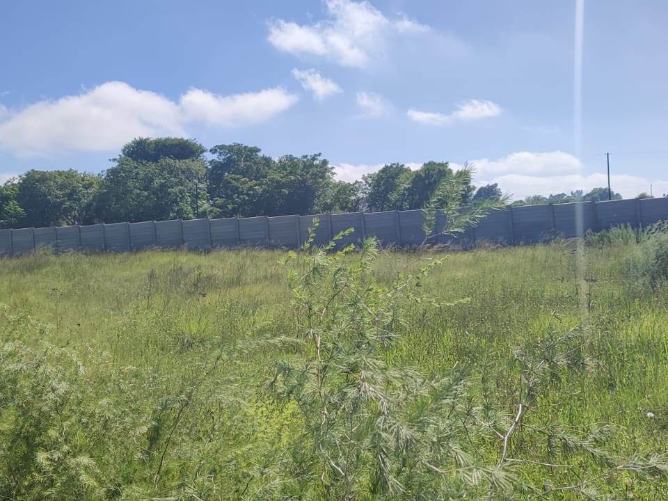 1487 m² Land available in Derby photo number 11