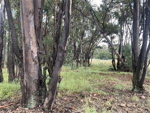 16 ha Land available in Valley Settlements AH