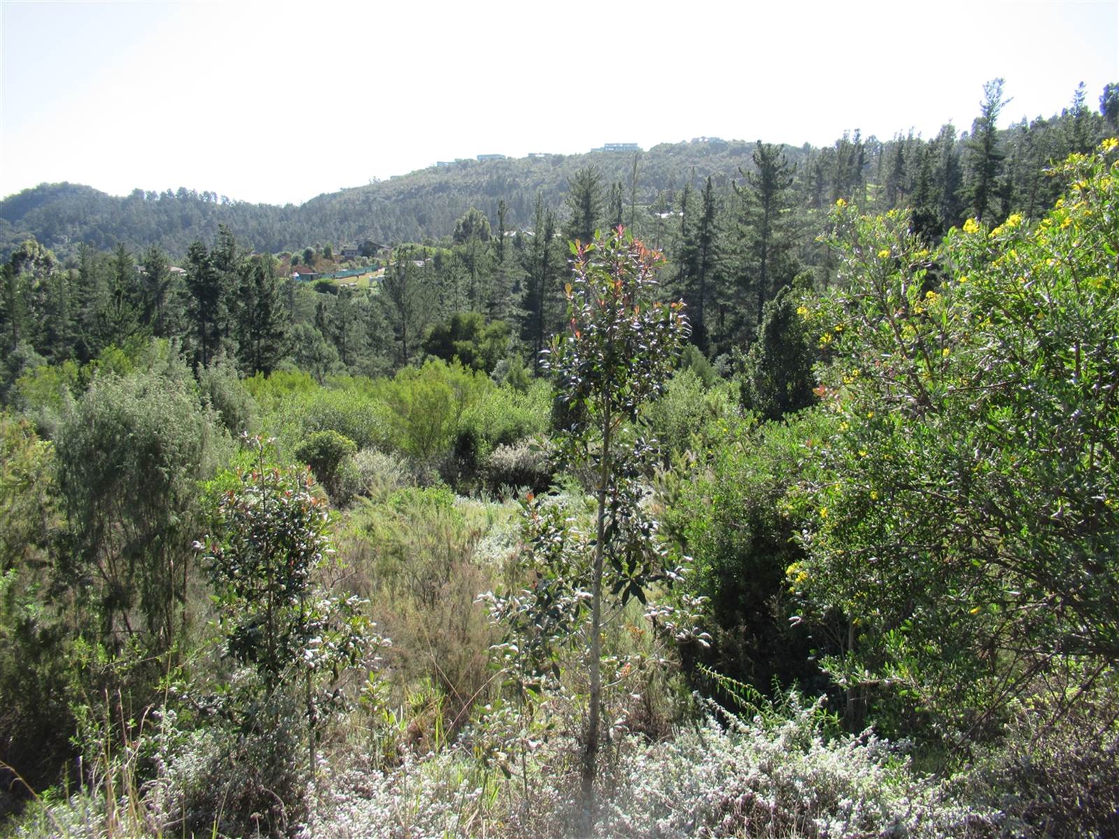 1238 m² Land available in Simola photo number 2