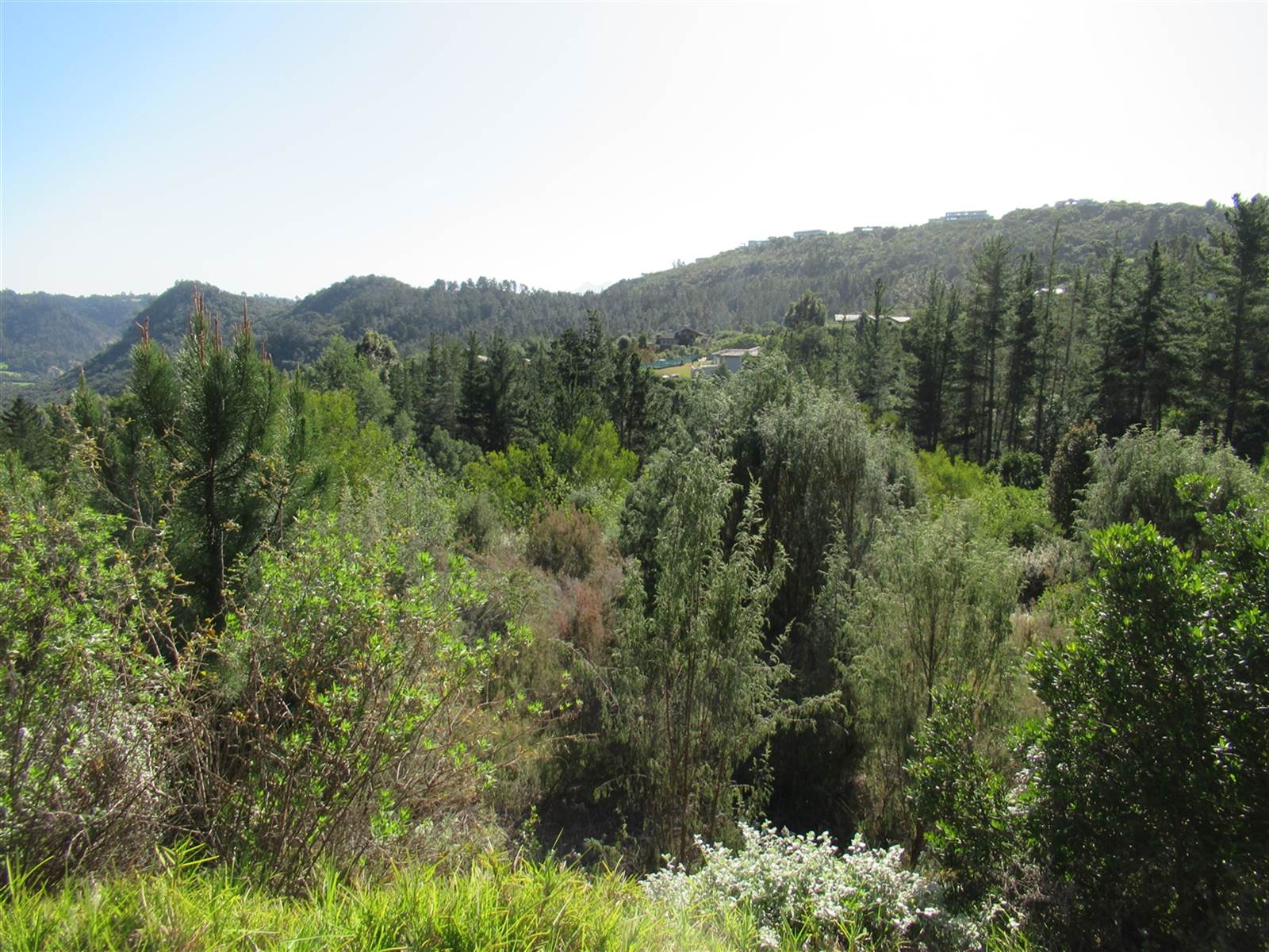 1238 m² Land available in Simola photo number 3