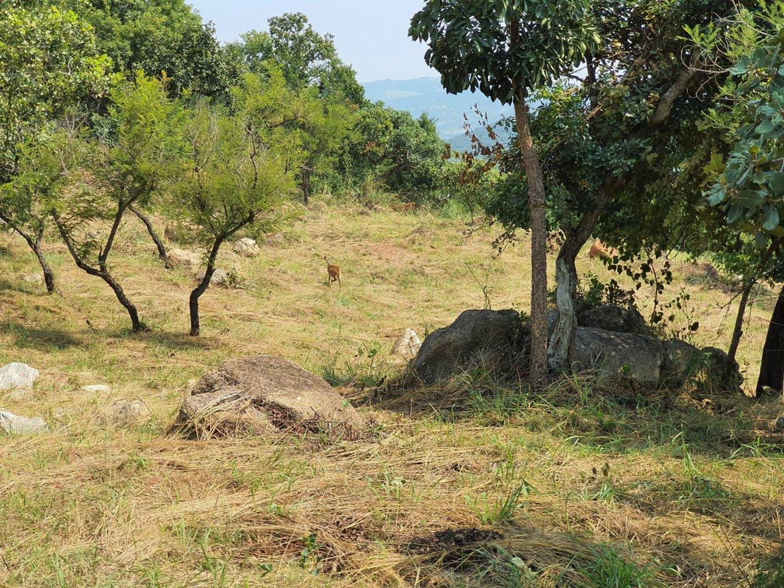 1555 m² Land available in The Rest Nature Estate photo number 7