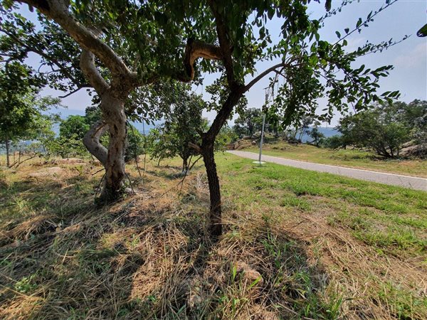 1555 m² Land available in The Rest Nature Estate