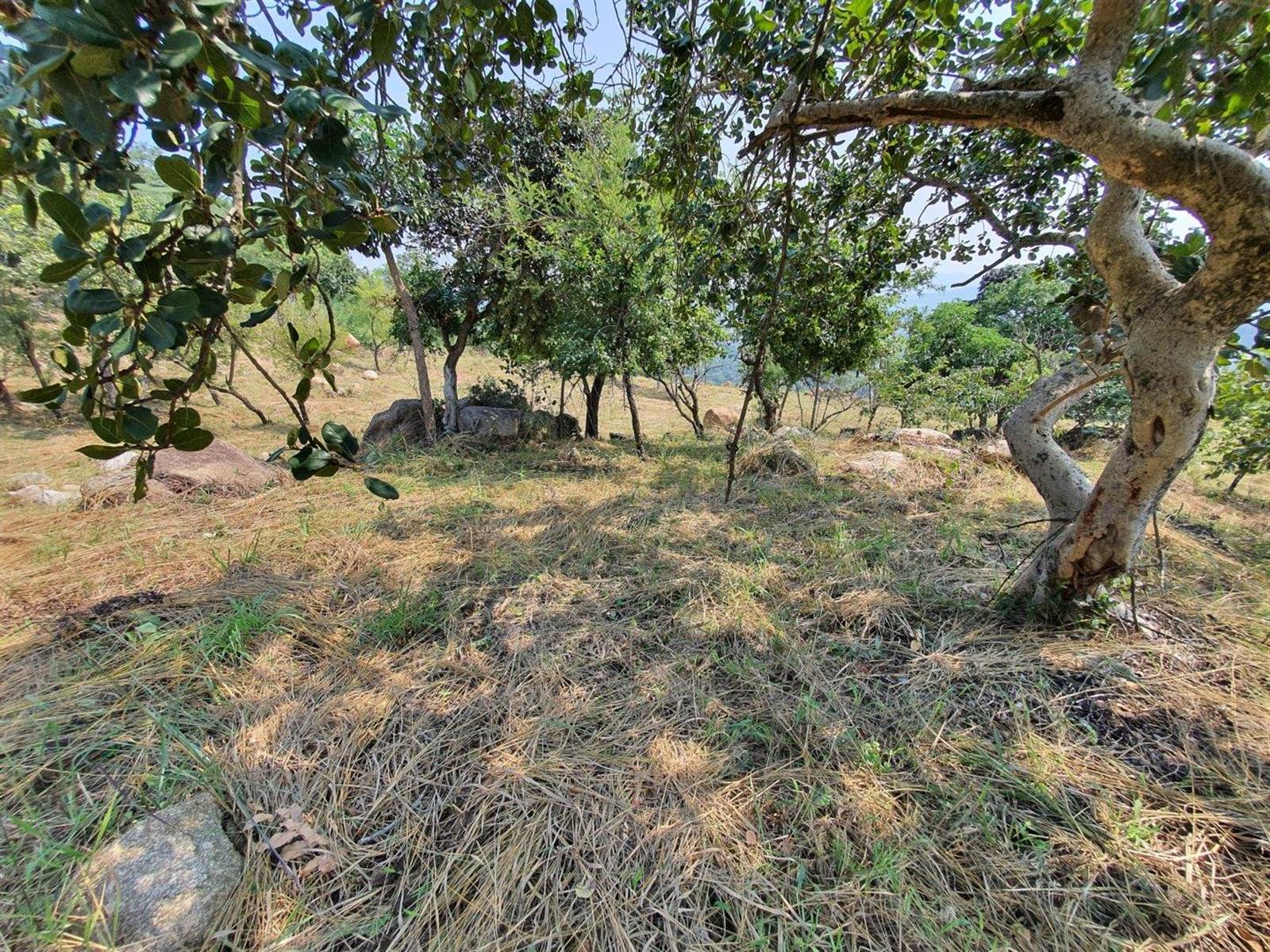 1555 m² Land available in The Rest Nature Estate photo number 4