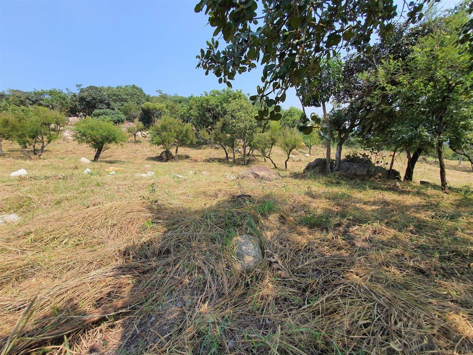 1555 m² Land available in The Rest Nature Estate photo number 10