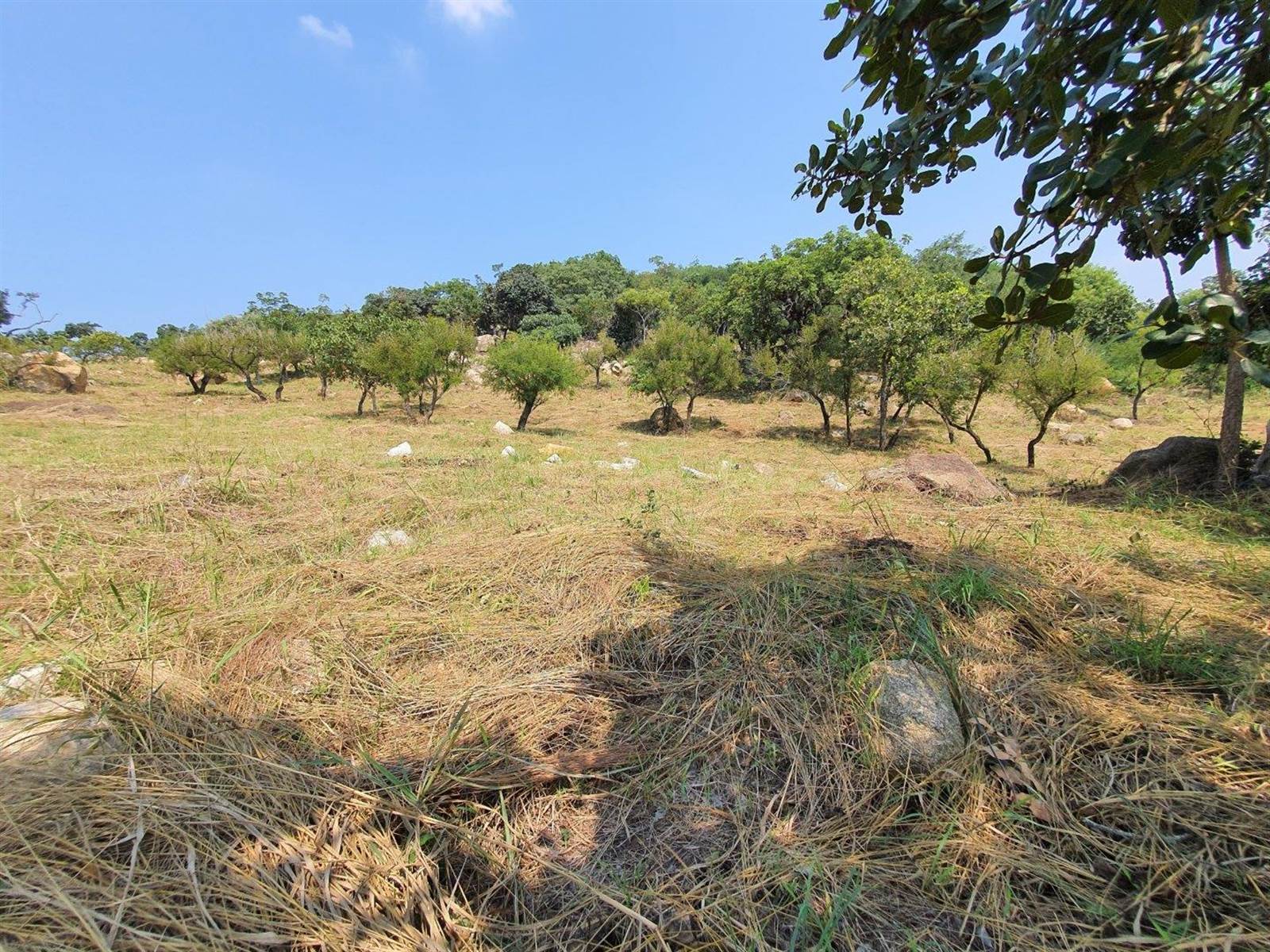 1555 m² Land available in The Rest Nature Estate photo number 6