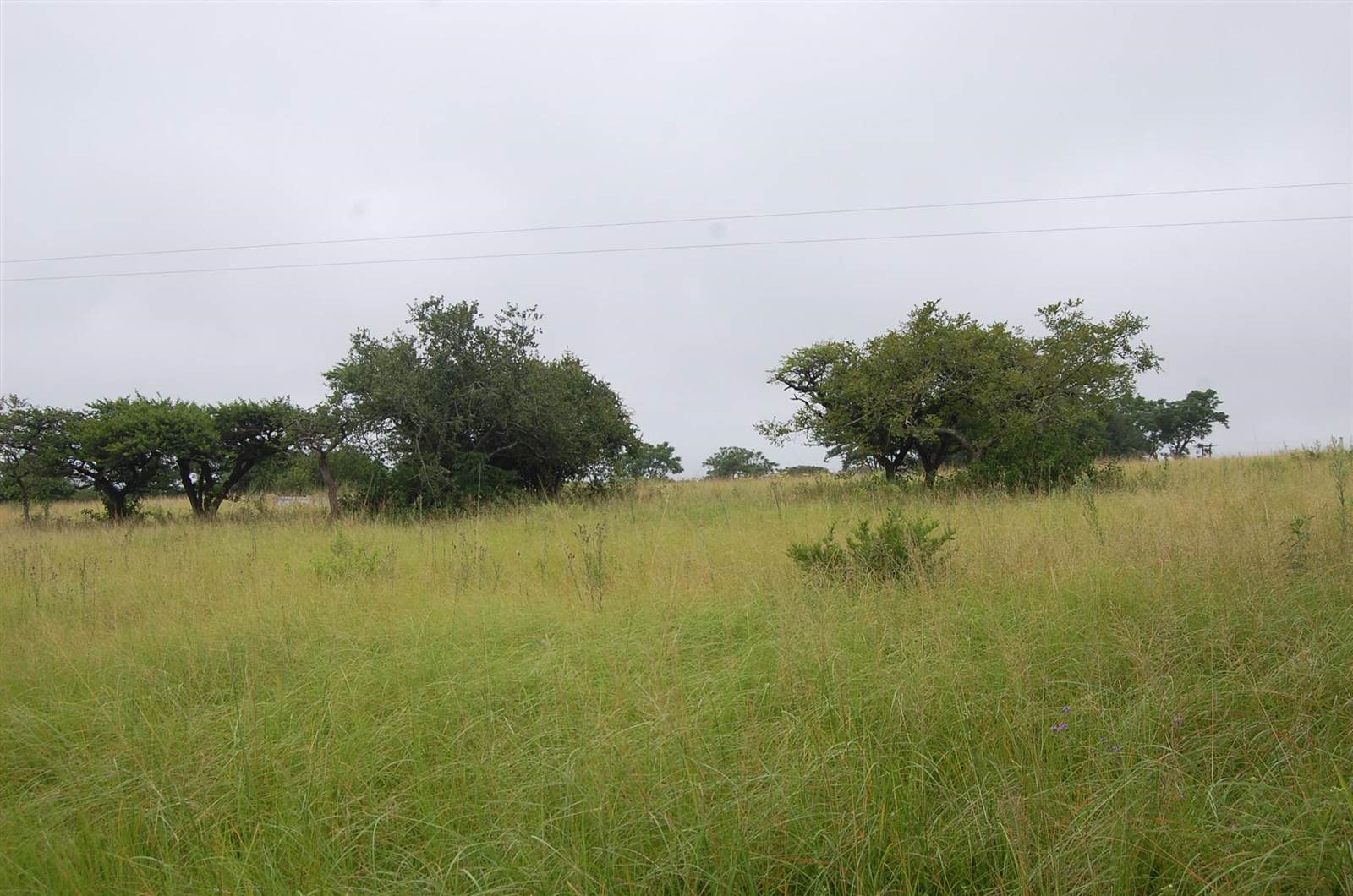 1.6 ha Land available in Camperdown photo number 4